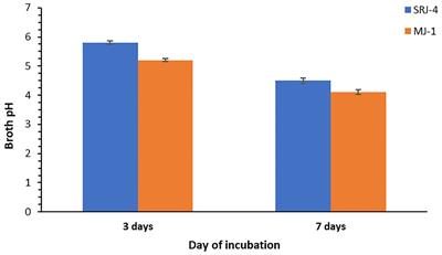 Biofilm producing plant growth promoting bacteria in combination with glycine betaine uplift drought stress tolerance of maize plant